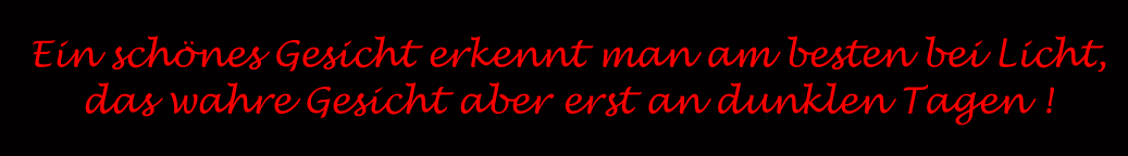 Das einzige, was von uns mal bleiben wird, ist die Liebe, die wir anderen Menschen geschenkt haben!  (Albert Schweitzer)