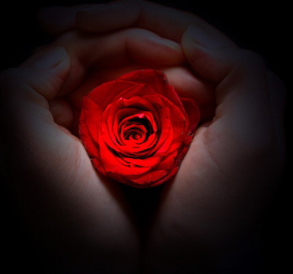 Die T�re zu einem Freund ist niemals verschossen!